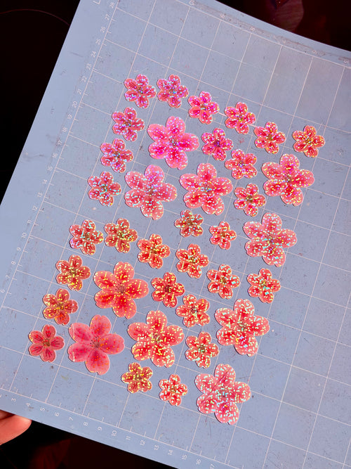 Cherry Blossoms
