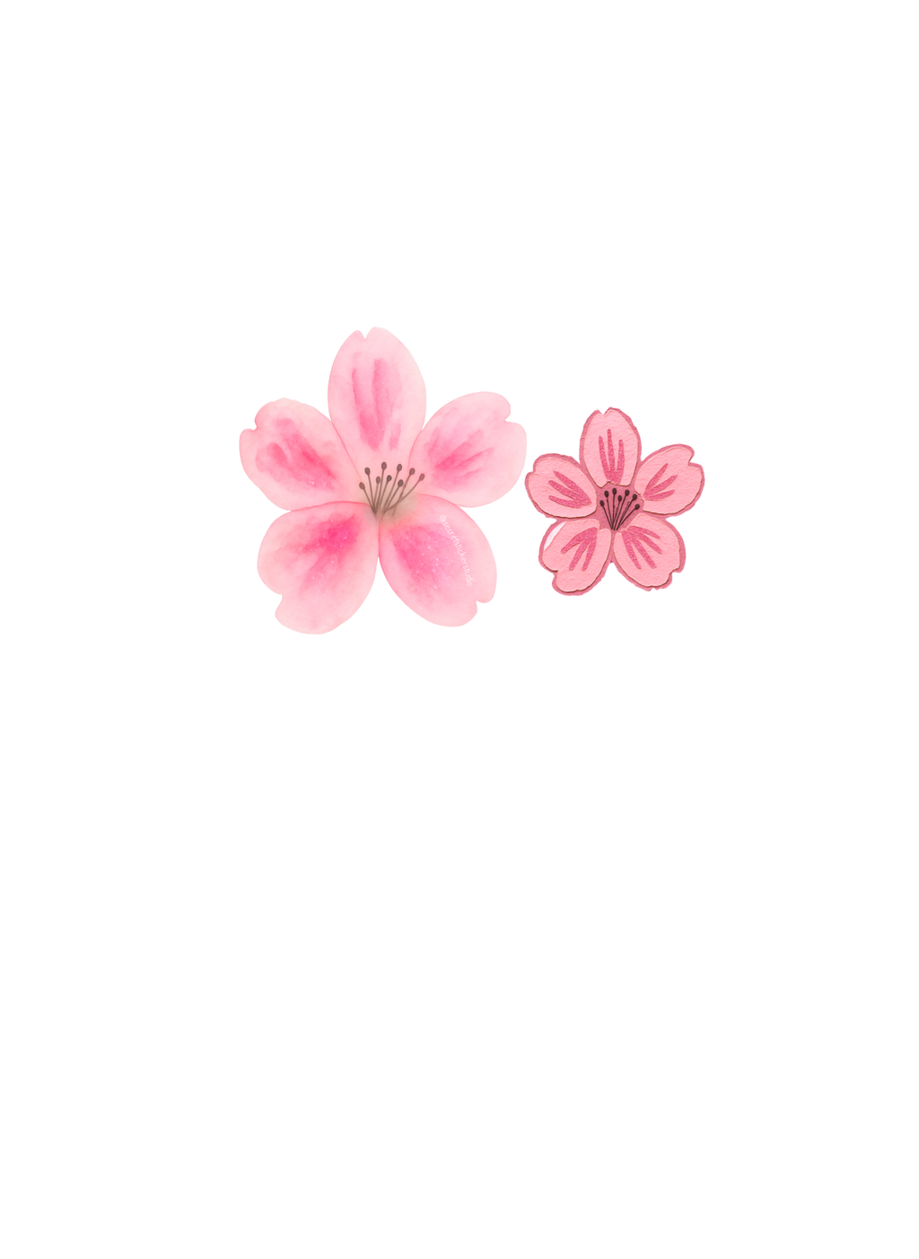 Cherry Blossoms