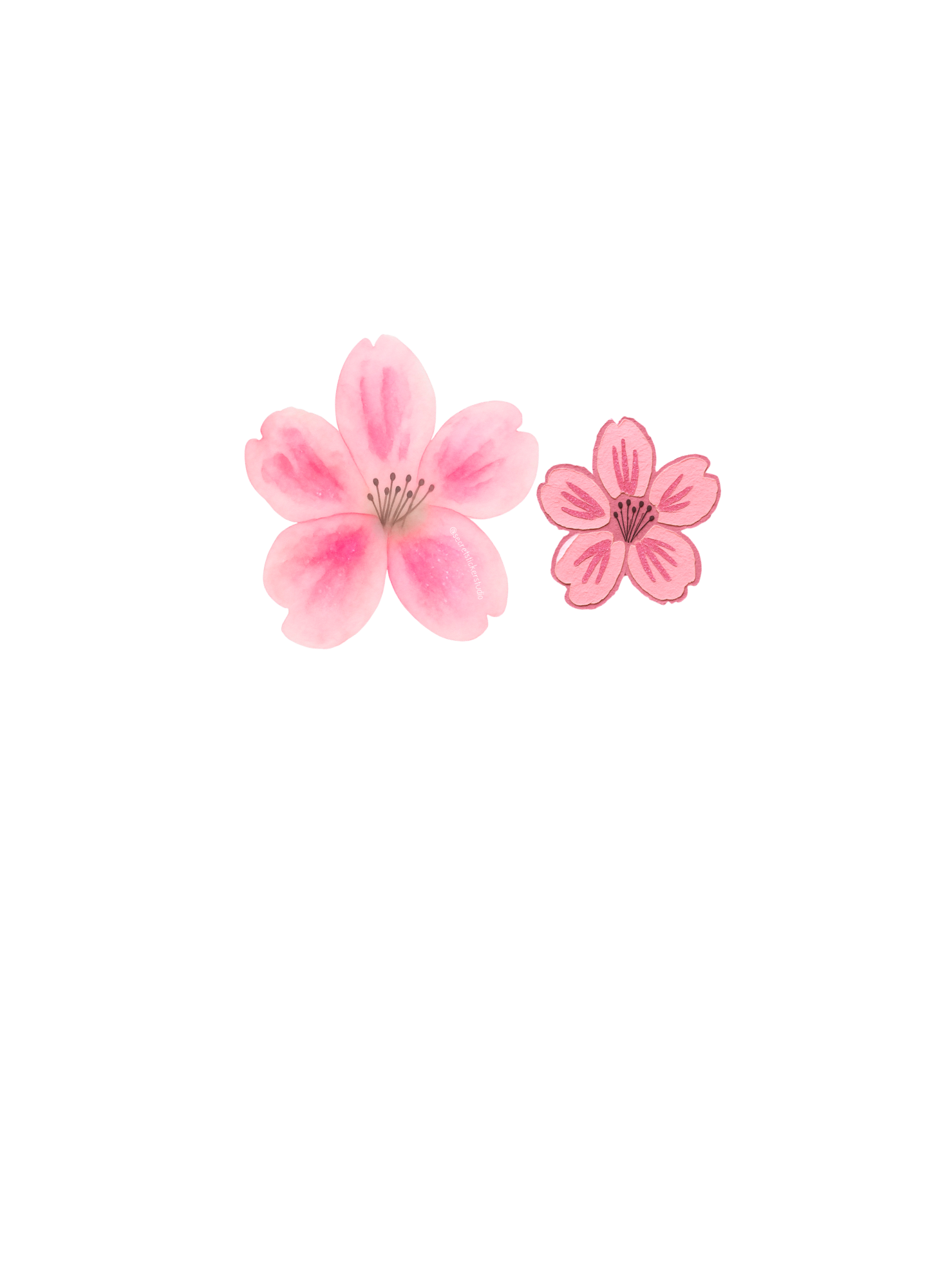 Cherry Blossoms
